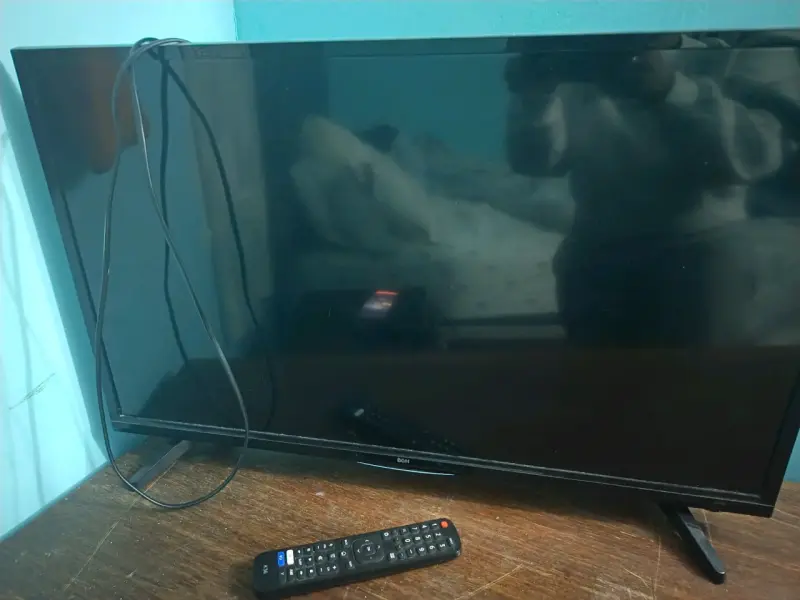 Televisor BGH con control remoto - 1