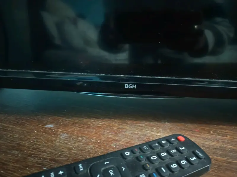 Televisor BGH con control remoto - 2