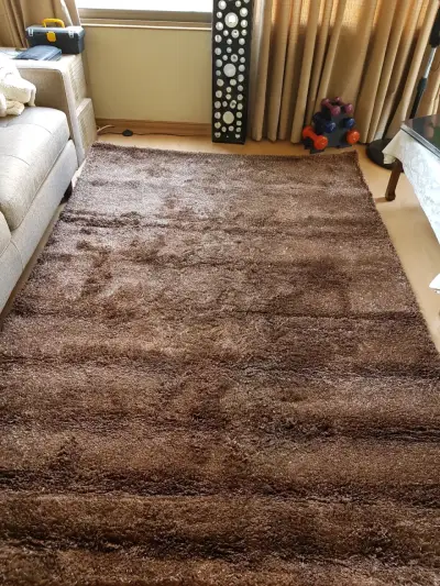 Alfombra de felpa marrón para sala - miniatura 1