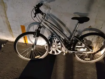 Bicicleta de montaña Estanich gris - miniatura 1