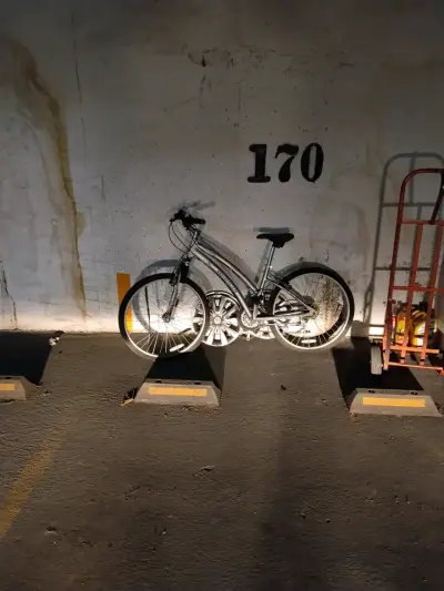 Bicicleta de montaña Estanich gris - miniatura 3