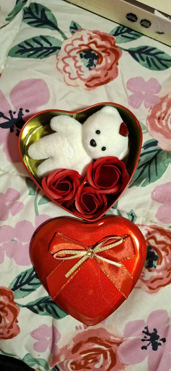 Caja de regalo corazón con oso de peluche y rosas - 2