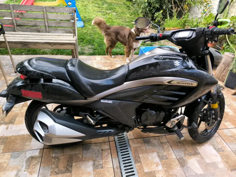 Moto Suzuki Intruder 150cc en buen estado - 5