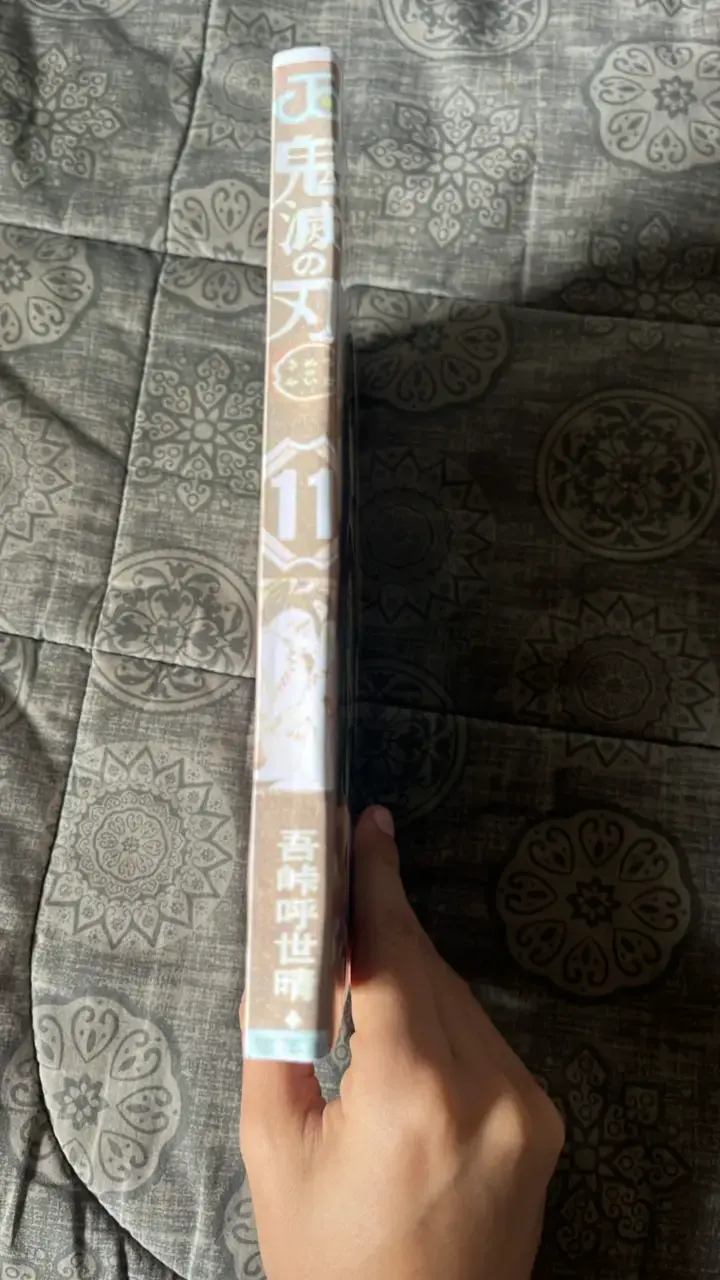 Manga Kimetsu no Yaiba Volumen 11 - 2