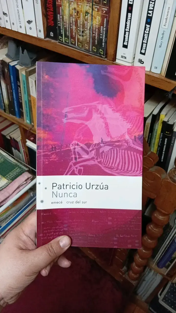 Libro 'Nunca' de Patricio Urzúa - 1