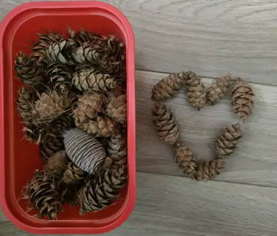 Piñas secas pequeñas decorativas  catidad 20 - miniatura 3