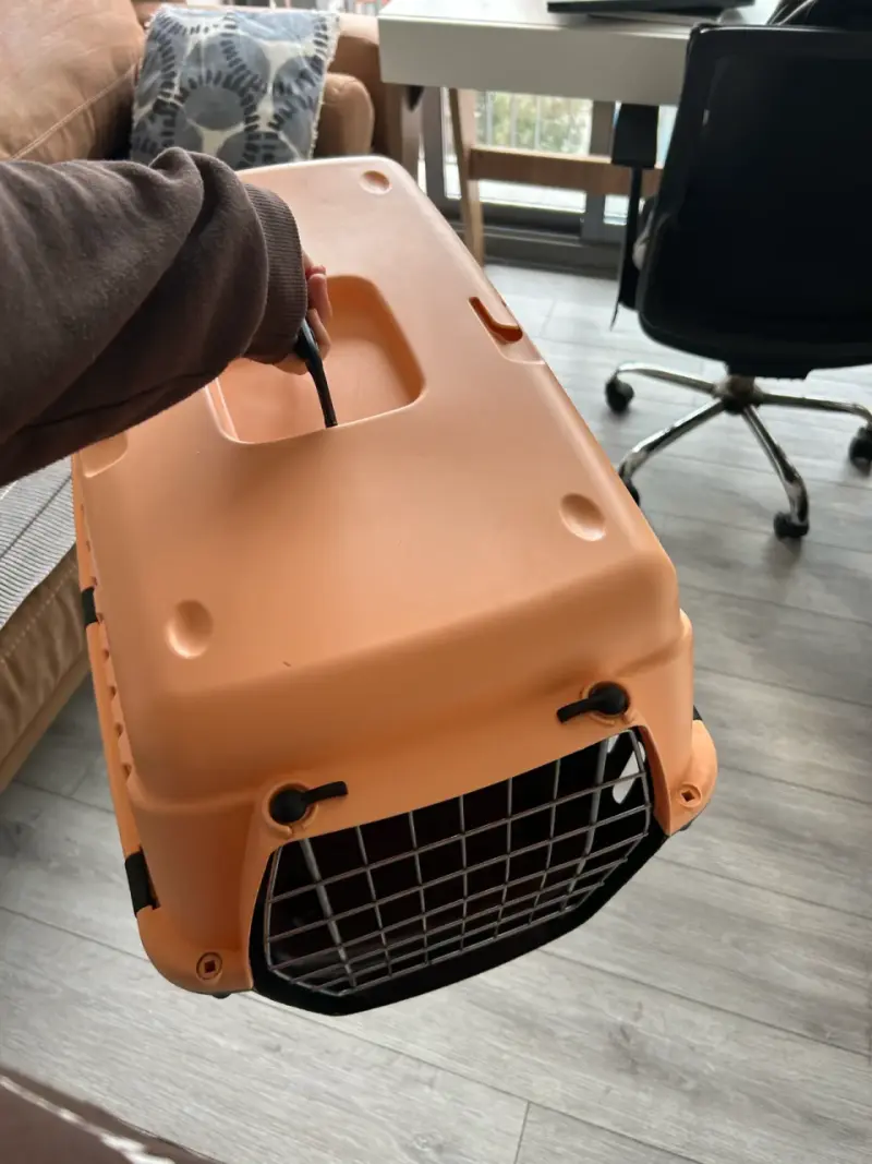 Transportadora de mascotas mediana color naranja - 2
