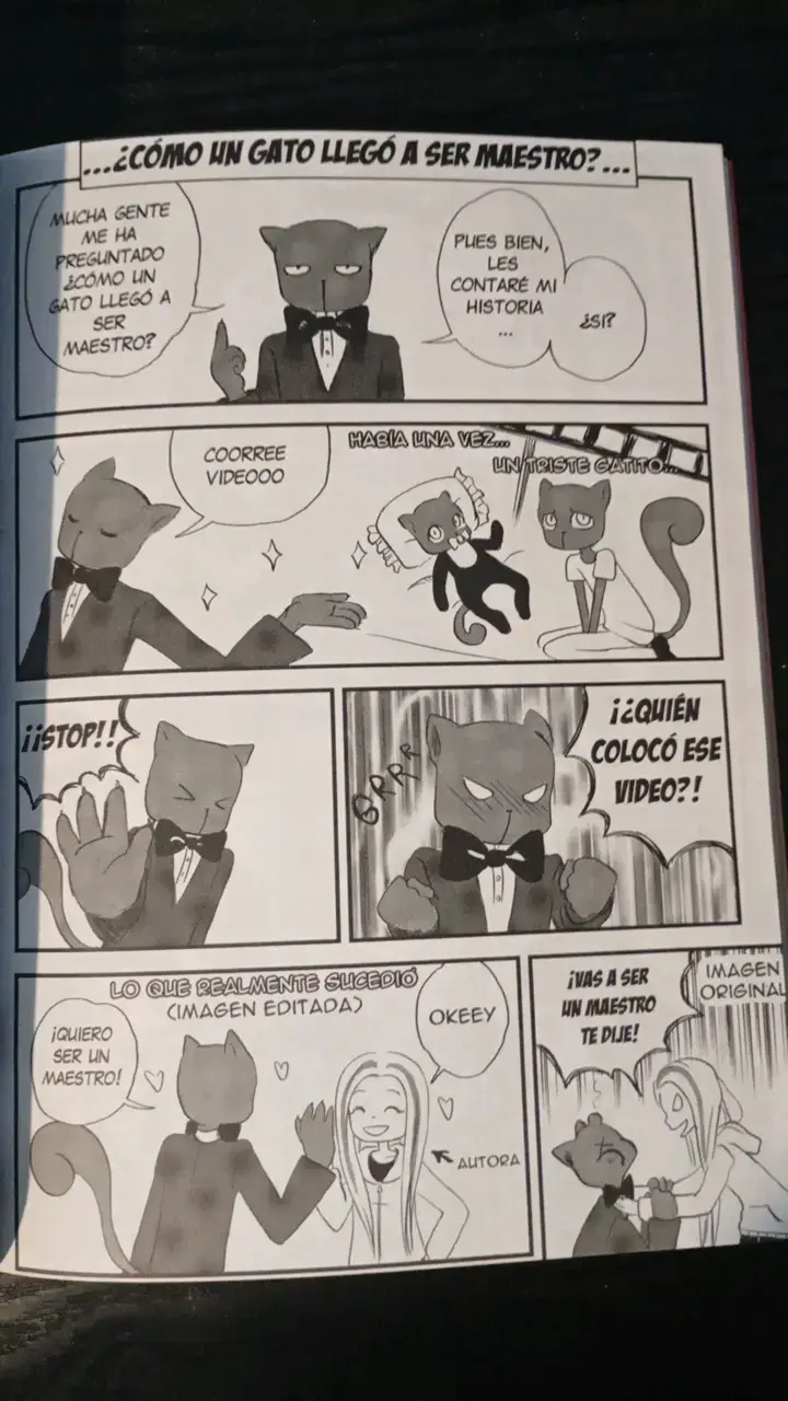 Libro Maestro Gato - 4