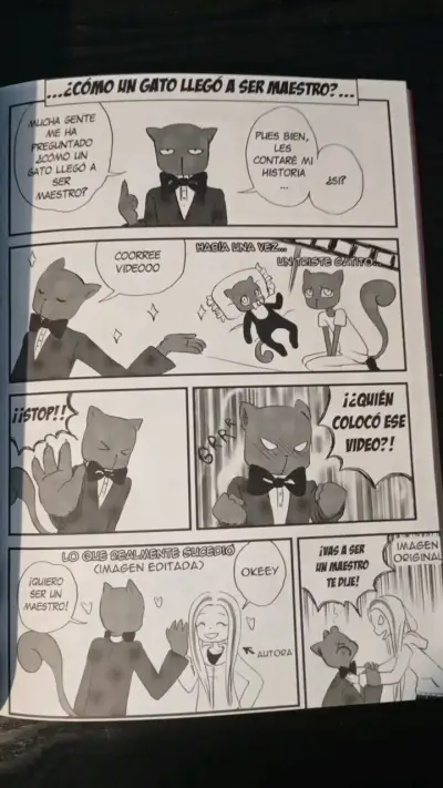 Libro Maestro Gato - miniatura 4