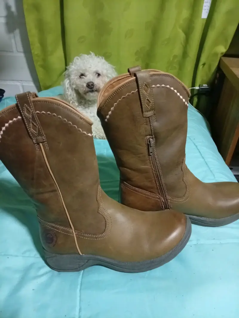 Botas de cuero marrón para mujer - 2