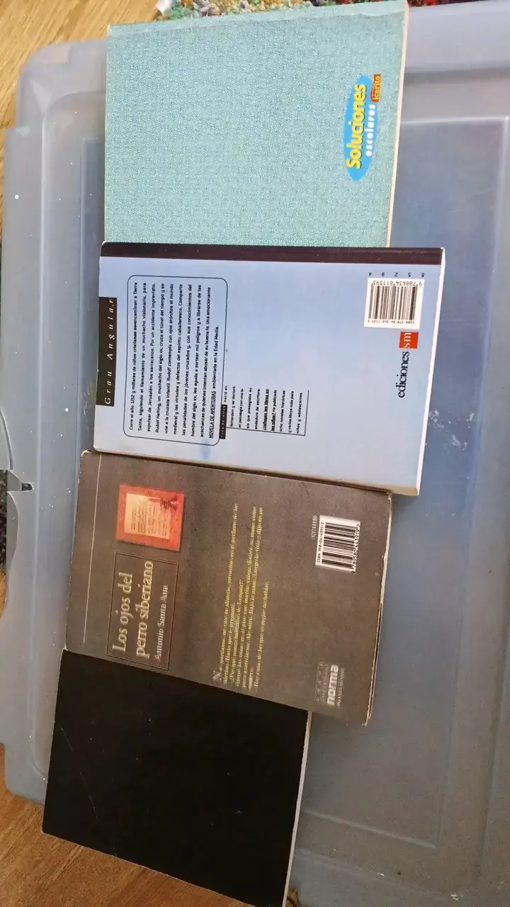 Lote de 4  libros clásicos y contemporáneos - 2