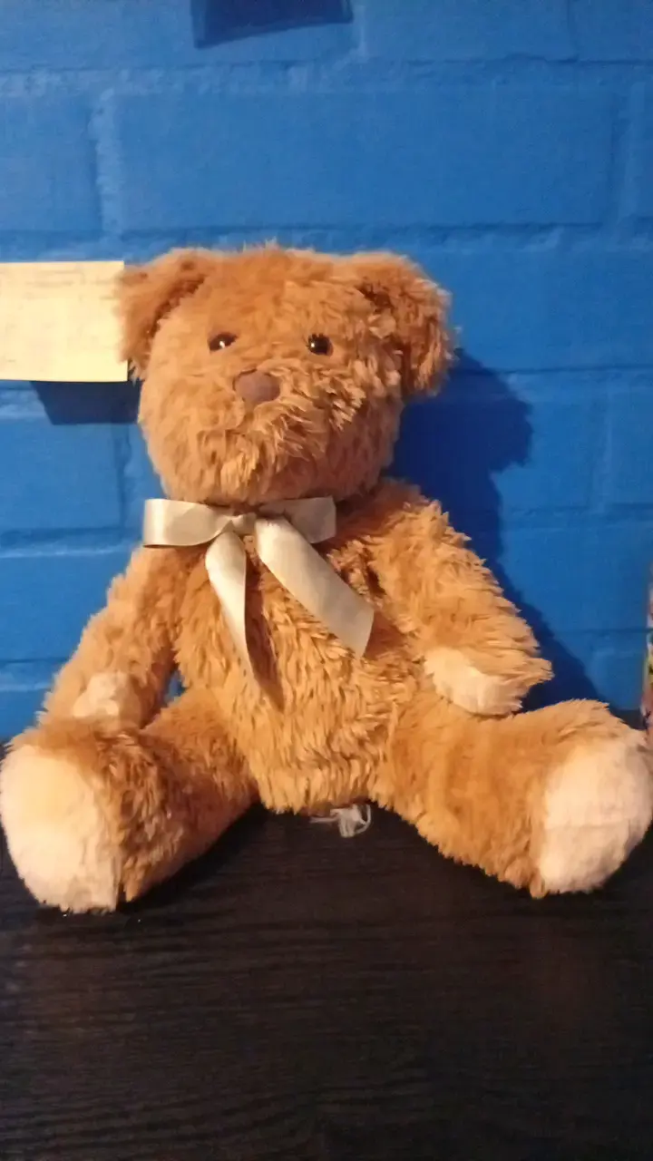 Osito de peluche marrón con lazo