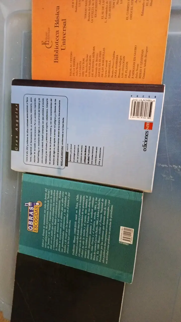 Lote de 4 libros clásicos y contemporáneos - 2