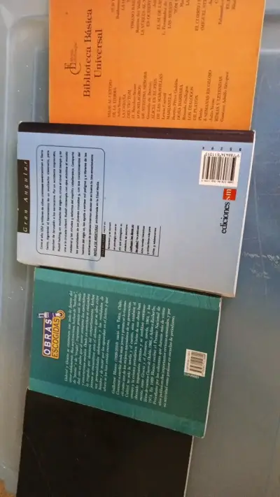 Lote de 4 libros clásicos y contemporáneos - miniatura 2