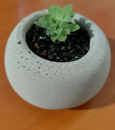 Conjunto de Cactus en Macetas Pequeñas - miniatura 6