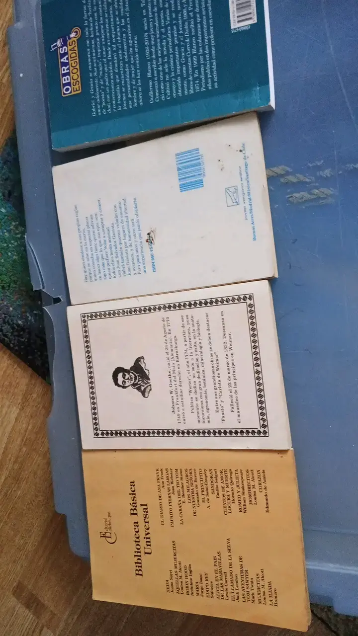 Lote de 4  libros clásicos y contemporáneos - 2