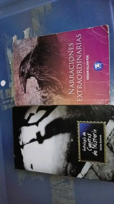 Libros de cuentos de misterio y narraciones extraordinarias - miniatura 1