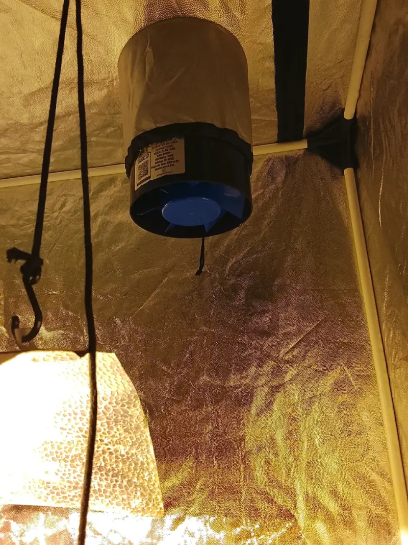 Carpa de cultivo interior con accesorios EcoPro - 5