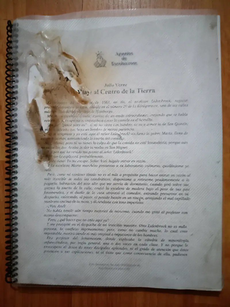 Libro 'Viaje al Centro de la Tierra' de Julio Verne - 2