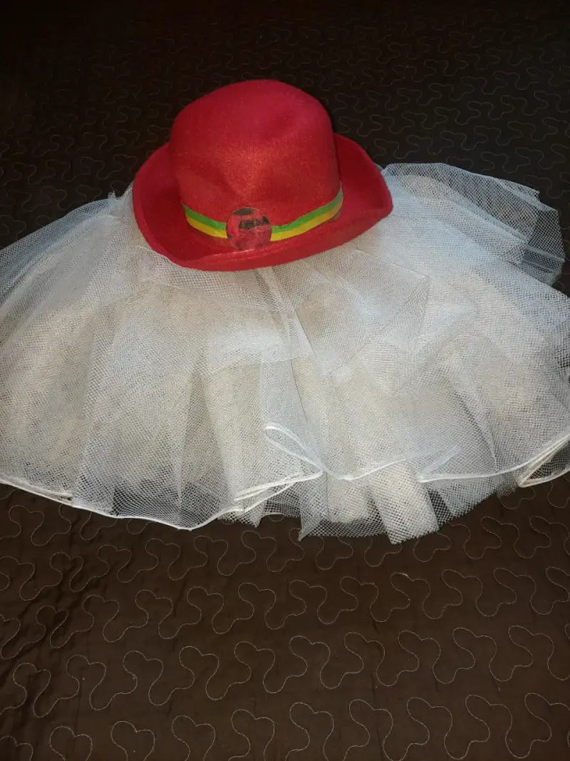 Traje de la diablada - 5