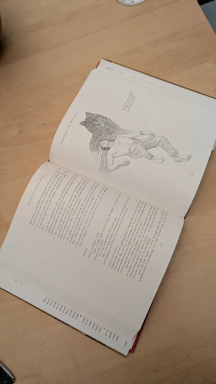 Libro 'The Art of Sexual Magic' de Margo Anand - 3