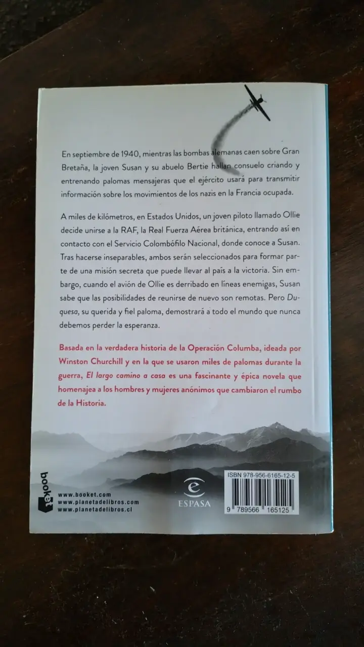 Libro 'El Largo Camino a Casa' de Alan Hlad - 2