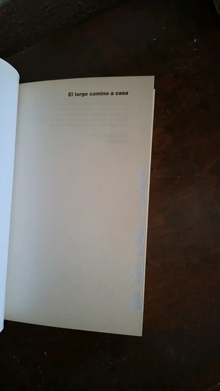 Libro 'El Largo Camino a Casa' de Alan Hlad - 3