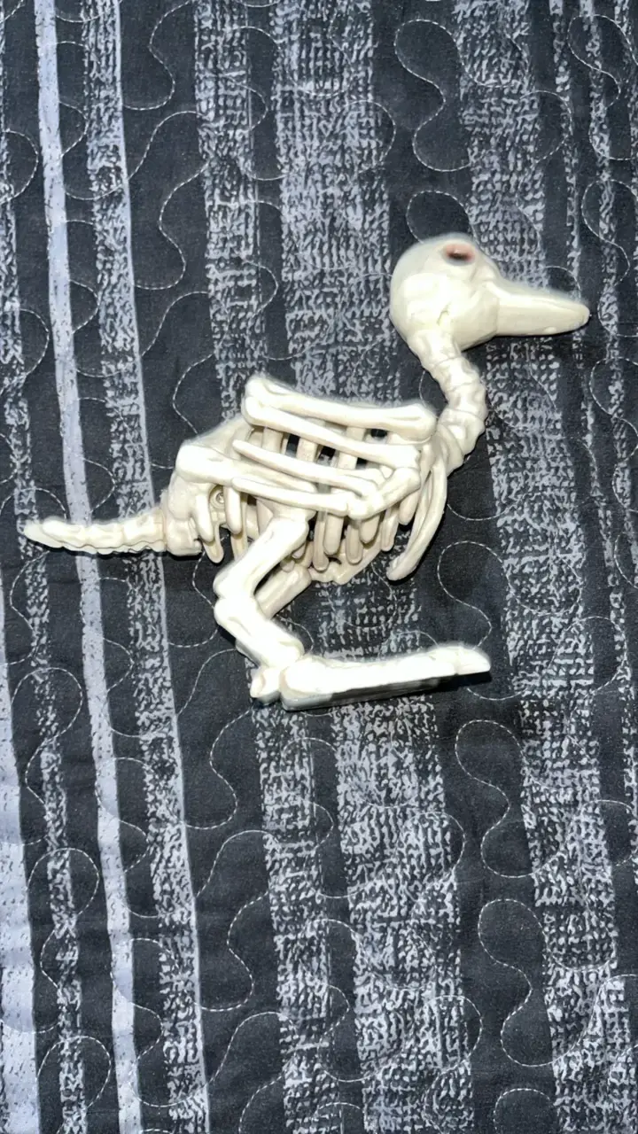 Figura de esqueleto de pato decorativa - 1