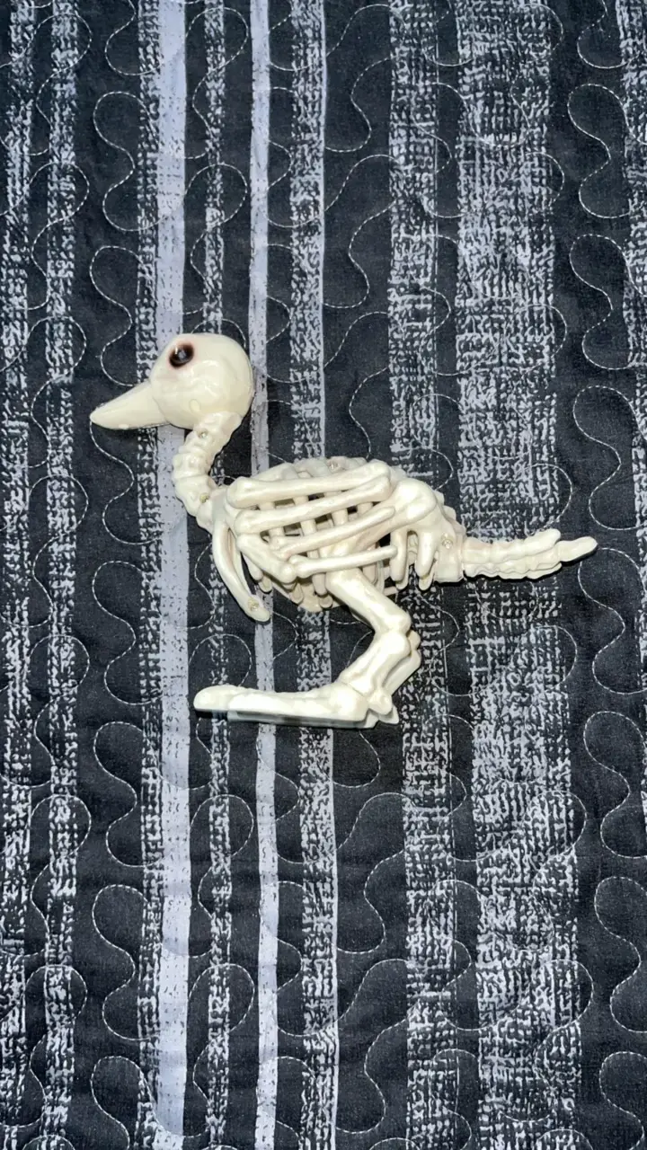 Figura de esqueleto de pato decorativa - 3