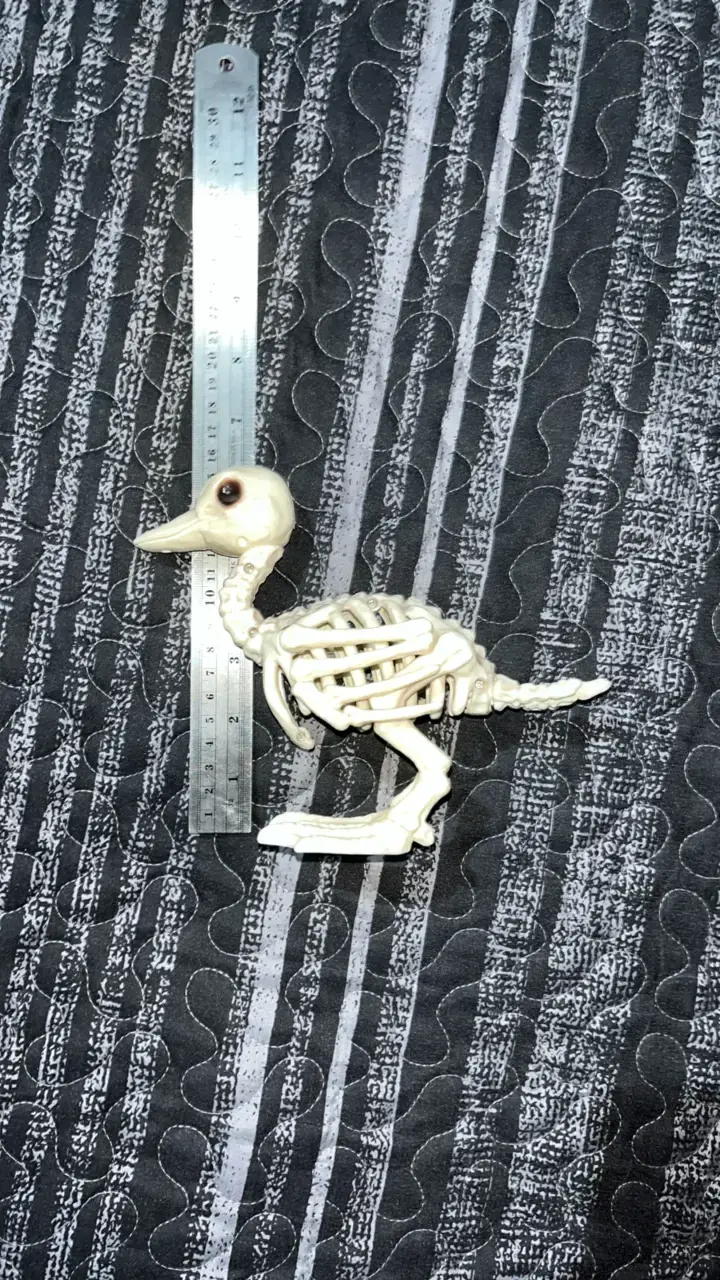 Figura de esqueleto de pato decorativa - 4