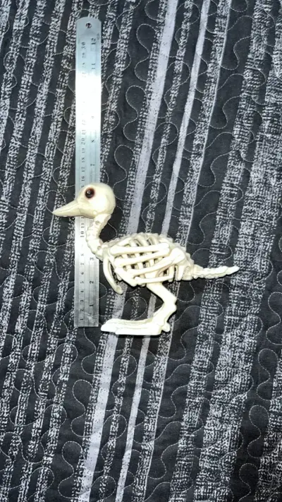 Figura de esqueleto de pato decorativa - miniatura 4