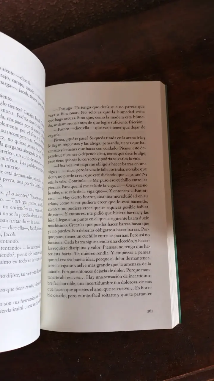 Libro 'Darling' de Gabriel Tallent en buen estado - 4