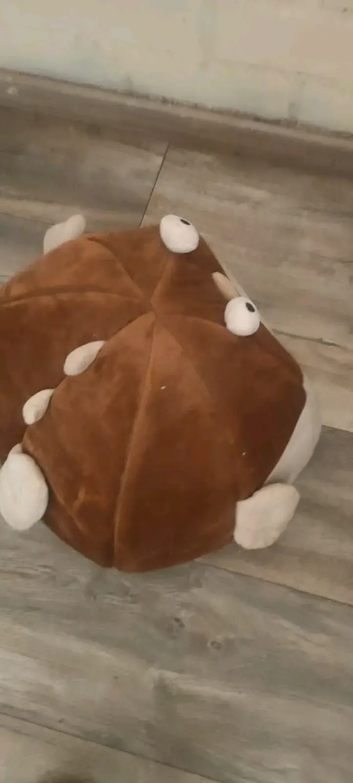 Cama para mascotas con diseño de pez - 2