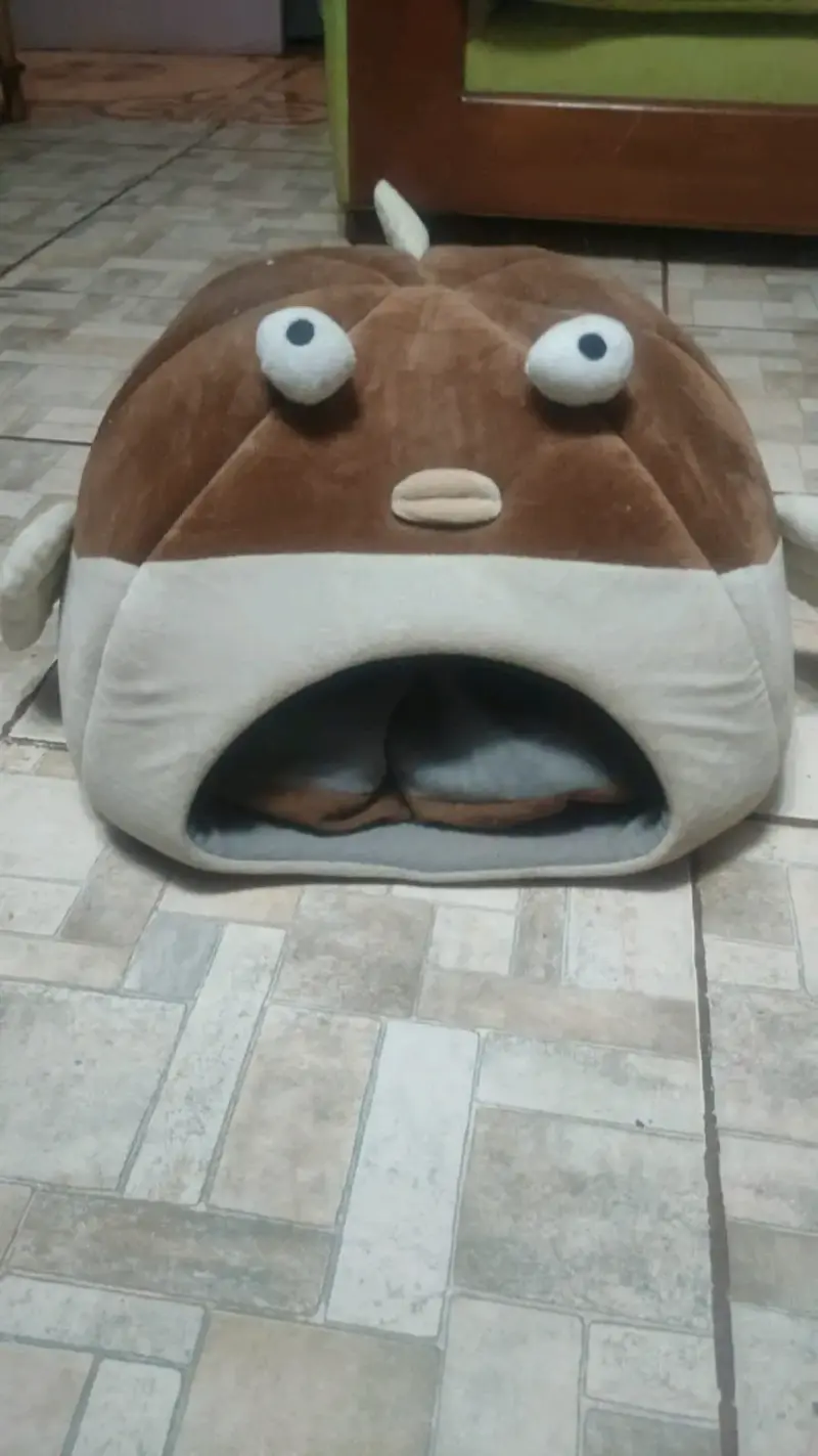 Cama para mascotas con diseño de pez - 3