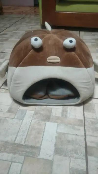 Cama para mascotas con diseño de pez - miniatura 3