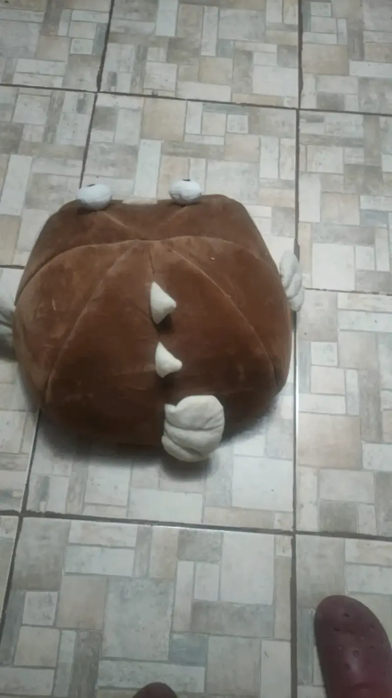 Cama para mascotas con diseño de pez - 4