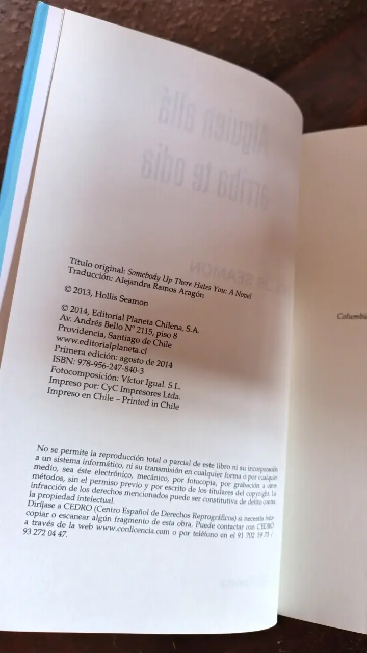 Libro 'Alguien Allá Arriba Te Odia' d Hollis Seamo - 4