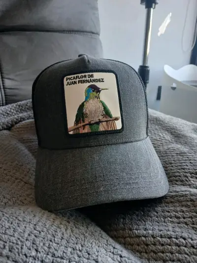 Gorra gris con diseño de picaflor - miniatura 1