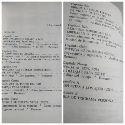 Libro Feng Shui Descubra El Dinero La Salud Y El Amor - miniatura 3