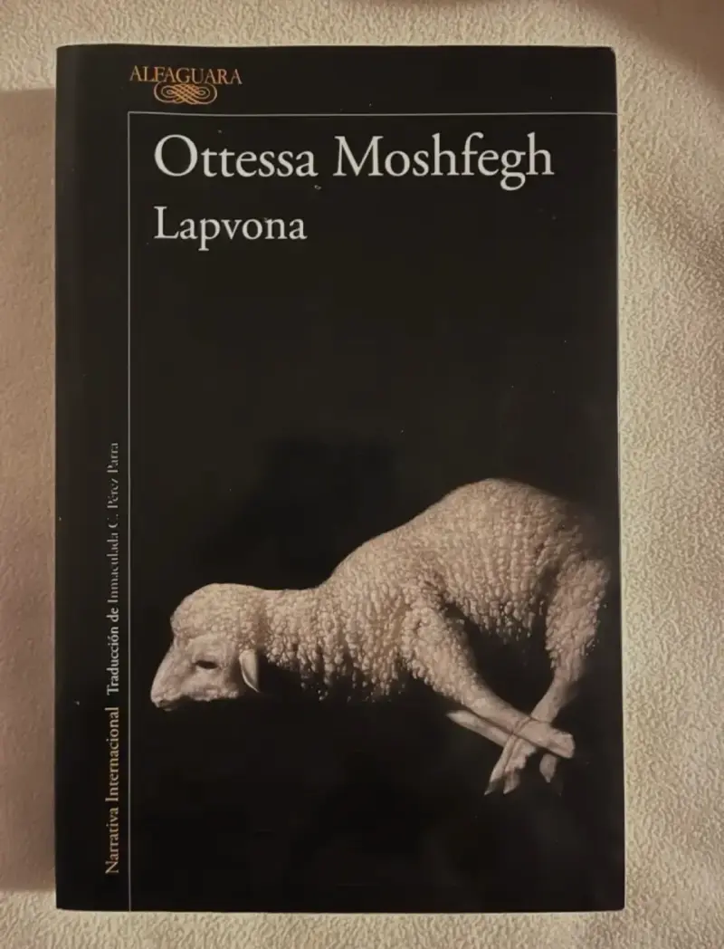Lote de libros - 1