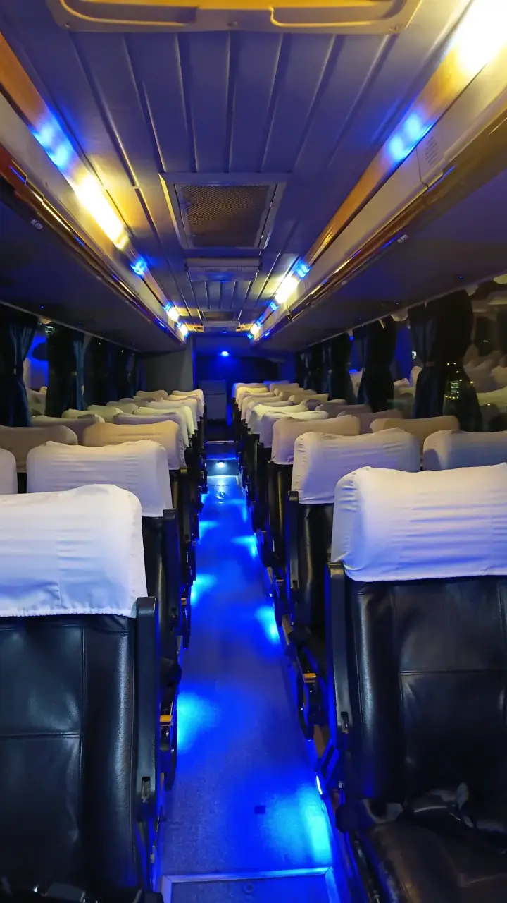 Viajes Especiales bus capacidad 42 personas - 2