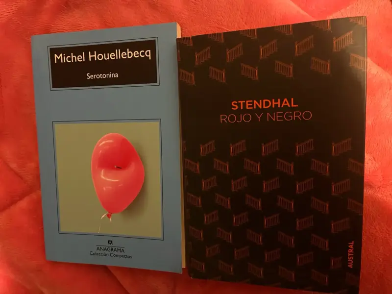 Lote de libros - 5