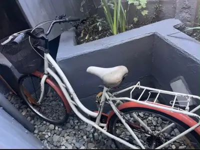 Bicicleta vintage con canasto y parrilla - miniatura 1