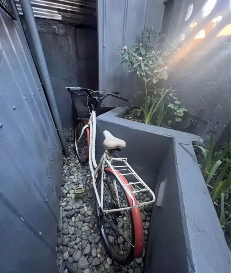 Bicicleta vintage con canasto y parrilla - 3