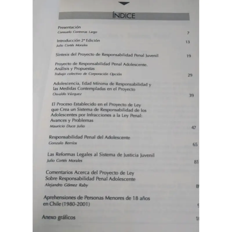 Libro Responsabilidad Penal de Adolescentes - 2