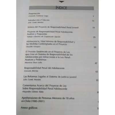 Libro Responsabilidad Penal de Adolescentes - miniatura 2