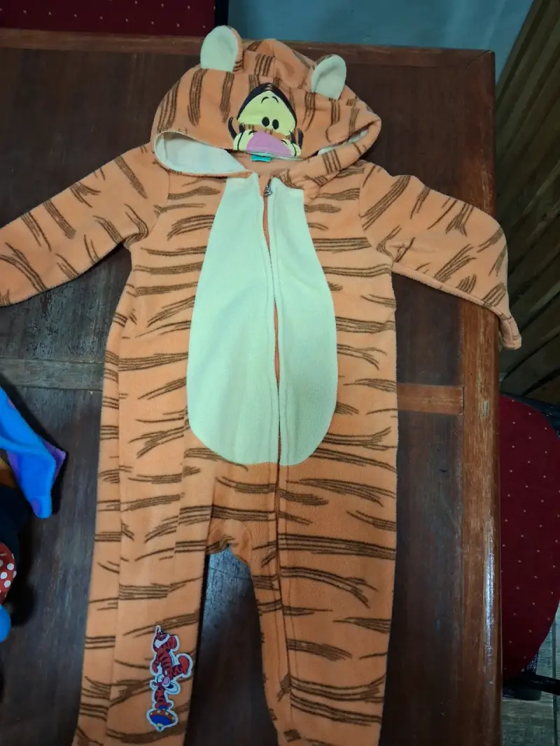 Disfraces de animales para niños - 1