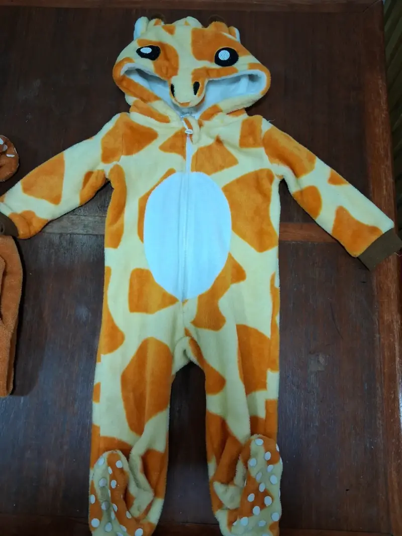 Disfraces de animales para niños - 3
