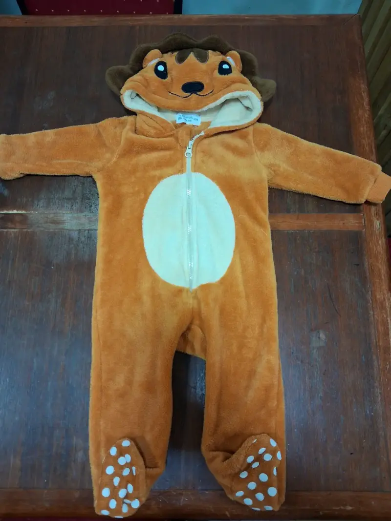 Disfraces de animales para niños - 6