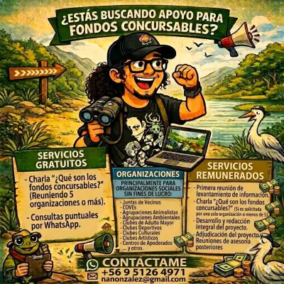 Asesoría fondos concursables - miniatura 1